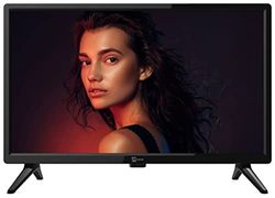 Televisore Telesystem PALCO 19LS10