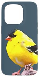 Motif chardonneret américain amoureux des oiseaux Coque pour iPhone 15 Pro