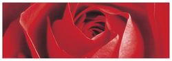 Artopweb Panel Decorativo con Diseño Anonymous Red Rose, Madera, Multicolor, 158x3x53 cm