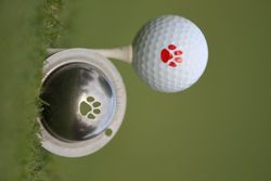 Tin-Cup Unisex Paw Print Golf Ball Marker, staal, One Size