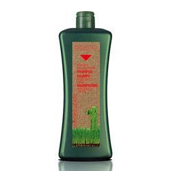 SALERM - Champô anti-queda - Biokera Natura champô específico queda - 1000 ml - com Ginseng e Ginkgo Biloba - Normaliza o ciclo de crescimento empilhar - Freia a queda - efeito refrescante