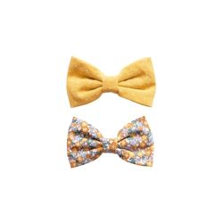 Bows and Clips Set Robin Summer in Tuscany