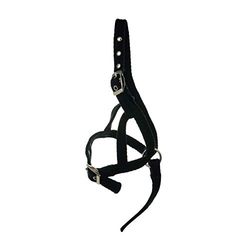 YH Hy Poulain Halter Noir