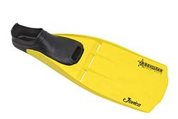 PINNA JONICA MIS. 33/34 yellow