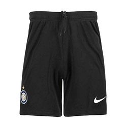 Nike INTER M NK BRT STAD SHORT HA