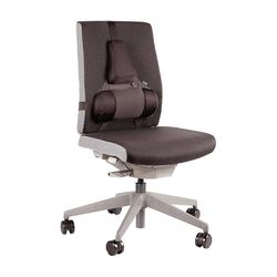 Fellowes Support Dorsal Premium Professional Series, Soutien Lombaire Ergonomique, Mousse en mémoire de Forme, Protection antibactérienne Microban, Noir, 8041801