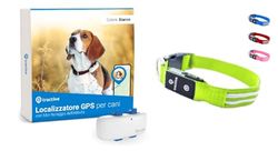 Tractive - GPS per cani + collare luminoso a LED, Localizzazione in tempo reale con raggio illimitato (verde, S)