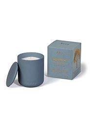 Aery Fernweh Candle, Japanese Garden, Blue, One size, 280g