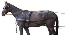 zweispaenner Stoviglie Standard, Nero Pony