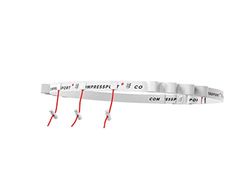 Compressport Race Belt, Cintura da Trail Running Unisex-Adult, Bianco, Uniq Size