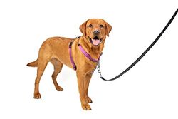 PetSafe Uprząż 3 w 1 i urządzenie przytrzymujące samochód, duże, śliwkowe, bez ciągnięcia, regulowane, trening dla małych/średnich/dużych psów