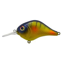 Bill Lewis Esche unisex Bluegill Bill Lewis Mid-Range 1,8 m 1/2 oz, taglia unica