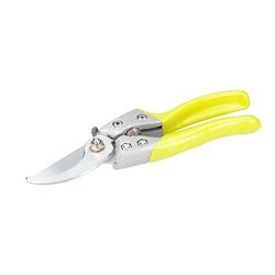 Sécateur type Bypass, acier inoxydable, manche ergonomique, coupe précise, idéal pour le jardinage et l'entretien des plantes.