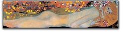 Artopweb Pannelli Decorativi Klimt Wasserschlangen Detail 2 Quadro, Legno, Multicolore, 140x1.8x34 cm, 281 unità