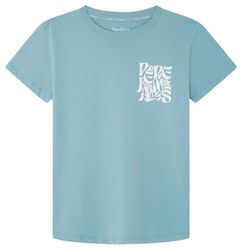 Pepe Jeans Raidan Camiseta Niño, Azul (Quay Blue), 14 Años