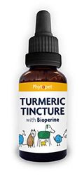 Phytopet Turmeric Root Extract | 100ml | Natural Anti-Inflammatory & Liver Support | Curcuminoids, Antimicrobial Properties | For Dogs, Cats, Birds, Horses