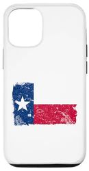 Carcasa para iPhone 15 Pro Bandera vintage de Texas