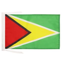 AZ FLAG Bandiera Guyana 45x30cm - BANDIERINA Guyana 30 x 45 cm cordicelle