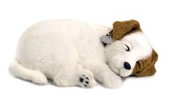 Perfect Petzzz 4909 – plusz – pies Jack Russel