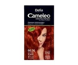 Cameleo - Shampooing colorant – Prune sauvage – Rafraîchissement rapide et facile des couleurs – Coloration lavable – Ton dans ton – 40 ml