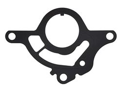 MISSLÅLIG GASKET