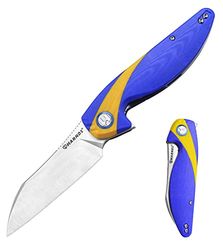 HARNDS Parrot Premium Coltello pieghevole con lama Sandvik 14C28N da 3,58" e manico in G10 con clip, chiusura con liner per l'EDC e il campeggio all'aperto. (Blu & giallo)