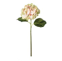 EUROCINSA Ref.62010C51 Hortensia rosa, låda med 6 stycken, vit, grön, 69 cm