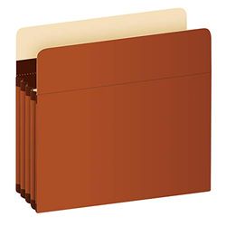 Pendaflex Bolsillos expandibles para archivos de acordeón, extra duraderos, se expande 3.5 pulgadas, tamaño carta, reforzado con material Dupont Tyvek, 10 unidades (15421)