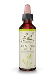 FLEURS DE BACH ORIGINAL - Chestnut Bud No 7 - Pour plus de sagesse - Aide à tirer les leçons de ses expériences - Élixir floral naturel pour le bien-être émotionnel - Compte-Gouttes 20ml - Vegan