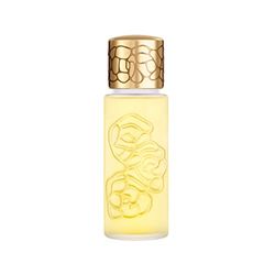 Eau de Parfum Spray 100 ml