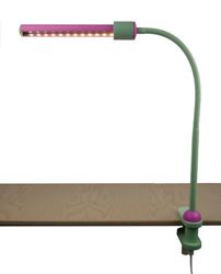 Niermann Standby LED klemlamp, lindrün/magenta 238