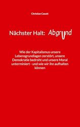Nächster Halt: Abgrund: Wie der Kapitalismus unsere Lebensgrundlagen zerstört, unsere Demokratie bedroht und unsere Moral unterminiert - und wie wir ihn aufhalten können