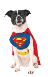Rubie's 887892S Officiell Superman Pet Dog Kostym, Small