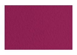Unbekannt Fabriano Tiziano Amaranto Pastel Paper 50 Sheets 160 g/m2 High Rag Acid and Resistant to Ageing, Non-Slip Rough Surface, DIN A4