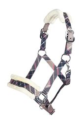 HKM Cambridge Licol Beige Karo Vollblut
