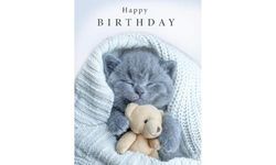 Piccadilly Greetings Birthday Card Cute Cat and Teddy - 8 x 6 inches