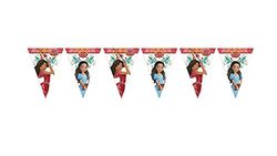 ALMACENESADAN, 5196, Birthday Party Pack; Linear Bunting 2.40 Metres Approximately; License (Elena of Avalor)