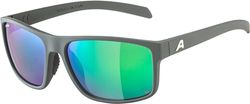 ALPINA Nacan I P Occhiali, Grigio Mezzanotte Opaco, Taglia Unica Unisex-Adulto