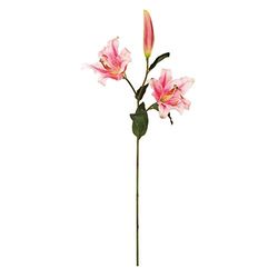 EUROCINSA Ref.56688C21 LILIUM ROSA, doos met 6 stuks, 94 cm