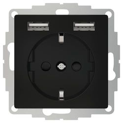 2USB inChargePRO USB AA Presa energia 12W 2.4A Nero