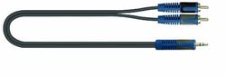 Cavo (Rksa,150-2) Audio Da 2 Jack Phono-Rca A 1 Minijack Stereo Da 3,5 Mm, 2 Met