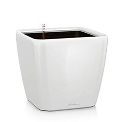 Lechuza – Pot de Fleurs d'Interieur – Premium Quadro Ls – Réserve d'Eau Intégrée – Coloris Blanc – 21 x 21 x 20 cm