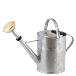 PLINT 9L Watering Can - Modern Style Watering Pot for Indoor and Outdoor House Plants - Coloured Galvanised Powder Coated Steel - Metal Design With Narrow Spout And High Handle - (Zinc)