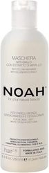 NOAH Hair 2.6 Anti-Yellow Hair Mask with Blueberry Extract – Silicone-Free, Professional Toner Treatment for Blonde, Grey & Bleached Hair – Neutralizes Brassiness, Hydrates & Strengthens, 250ml