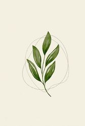 Carnet de notes minimaliste aquarelle blanc vert: Collection forêt