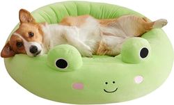 Squishmallows Wendy Frog Lit en Peluche pour Animal Domestique Taille L 76,2 cm