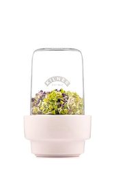 Kilner Set per germogliare 0,5 litri