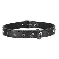 Trixie 19661 Basic halsband met klinknagels, L: 46-55 cm/22 mm, zwart