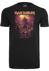 Mister Tee Upscale X Iron Maiden Shadow of The Valley Oversized T-shirt voor heren, zwart, XXL