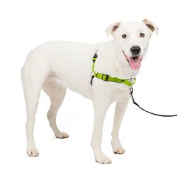 PetSafe EWH-D-HC-M/L-APL Imbracatura Deluxe Easy Walk, Media/Grande, Verde Mela, Nylon